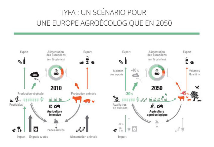 Un scénario pour une Europe agroécologique en 2050