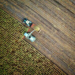 Champ cultivé en agriculture intensive avec des machines
