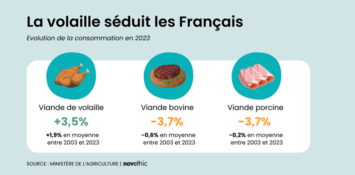 Détail de la consommation de viande en France en 2023