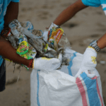 Deux bénévoles ramassent des déchets composés de plastique sur une plage.