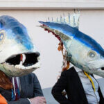 L'association Ocean Rebellion dénonce les stratégies des lobbys des produits de la mer contre la régulation des océans - Crédit - Ocean Rebellion