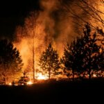 Face au risque d'incendies, la France et l'Europe peinent encore à structurer une réponse cohérente de prévention - Photo de Egor Vikhrev sur Unsplash