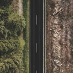 Les entreprises en retard sur le reporting et l'action pour la protection de la nature - Photo de Justus Menke sur Unsplash
