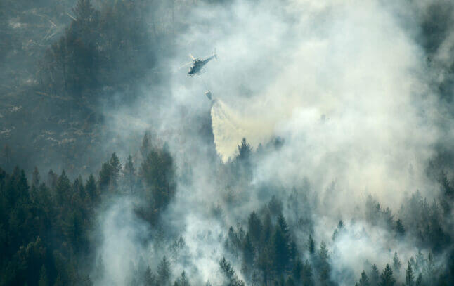 Plus de 50 incendies touchent actuellement la Suède. - @MajaSuslin-TTNewsAgency-AFP